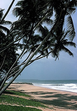 Sri Lanka, Strand von Tangalle mit Palmen