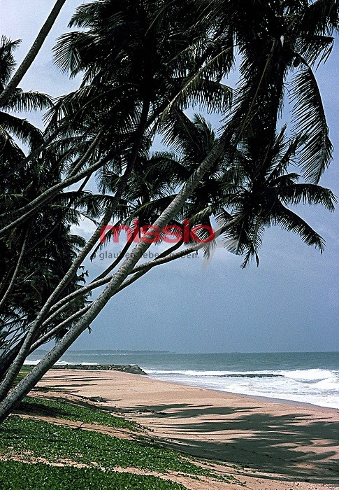 MI_20561 Sri Lanka, Strand von Tangalle mit Palmen